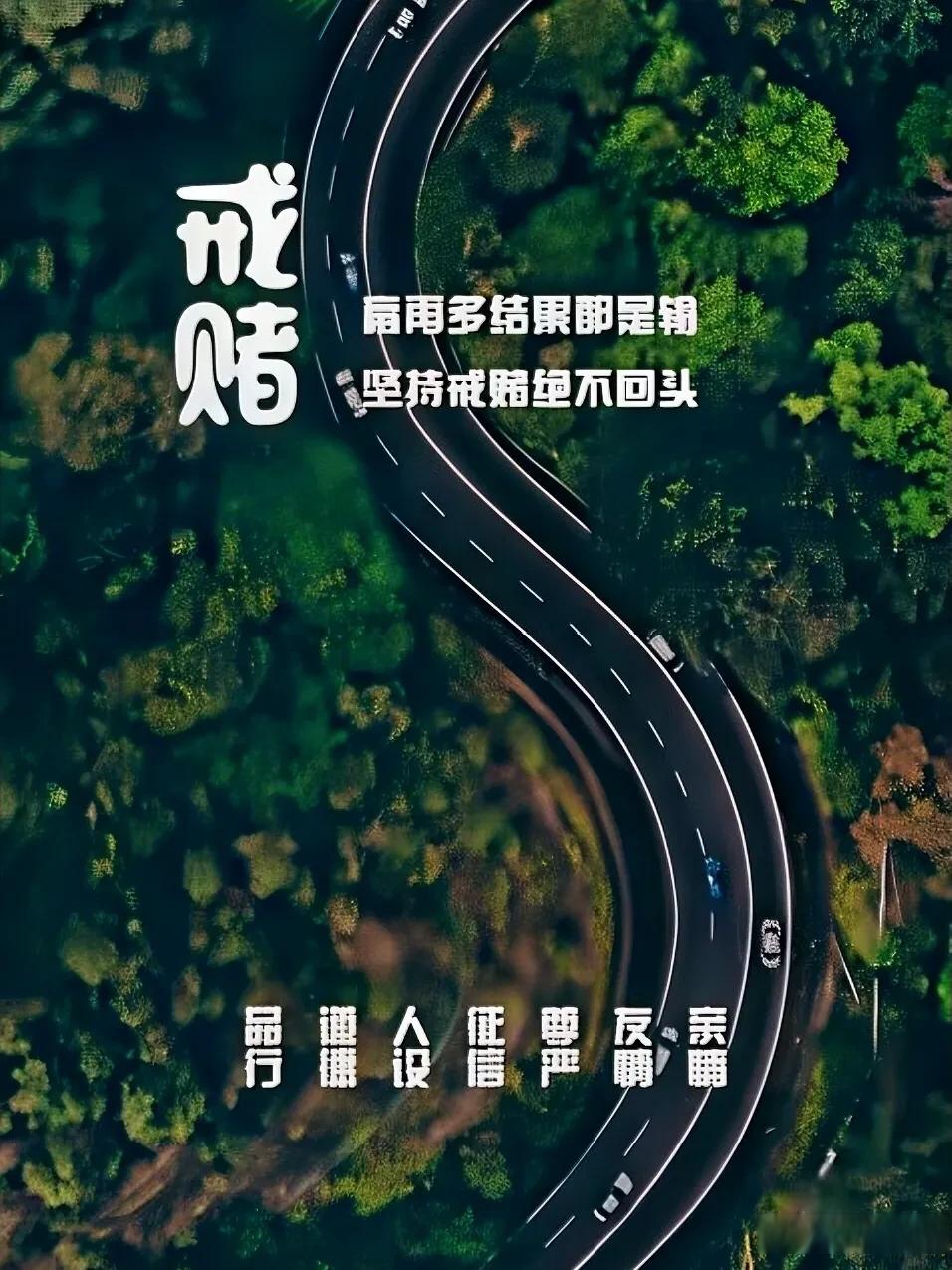 "戒赌才能上岸 戒了你就赢了 戒赌了戒赌了 发誓要戒赌