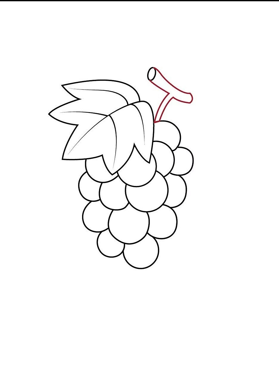 葡萄简笔画 🍀紫葡萄中富含有花青素和类黄酮,这两类物质都是强力抗