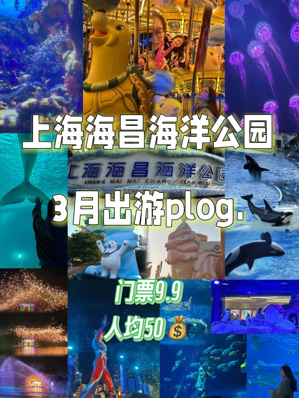 上海海昌海洋公园|门票只要9.9!
