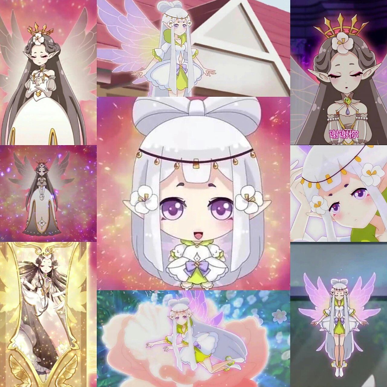 芙蓉花精灵王.拒霜