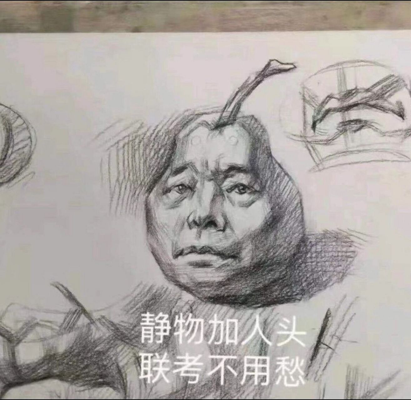 美术生专用表情包