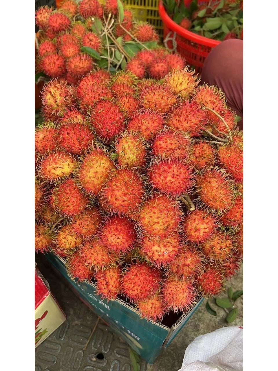 红毛丹的味道很是清新,闻起来有一股清淡的果香味,一般来说,果肉的