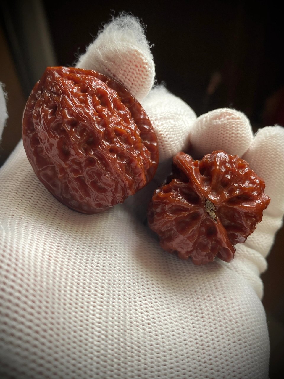 文玩核桃科普-沈阳鸡心 这期依然是应粉丝投稿,想让我更新一款名品,那