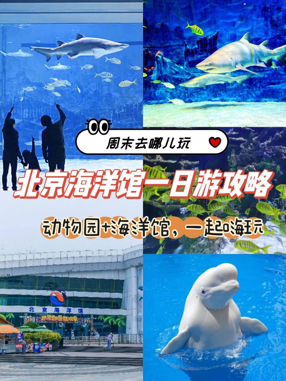 还可以游览北京动物园,和海洋馆在一起的,可谓是一举两得.