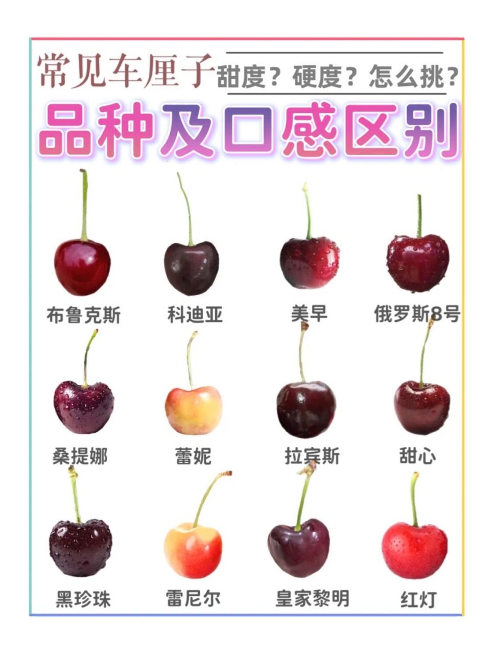 常见车厘子品种说明书90秒懂口感区别会挑果 很多姐妹在后台留言,跟