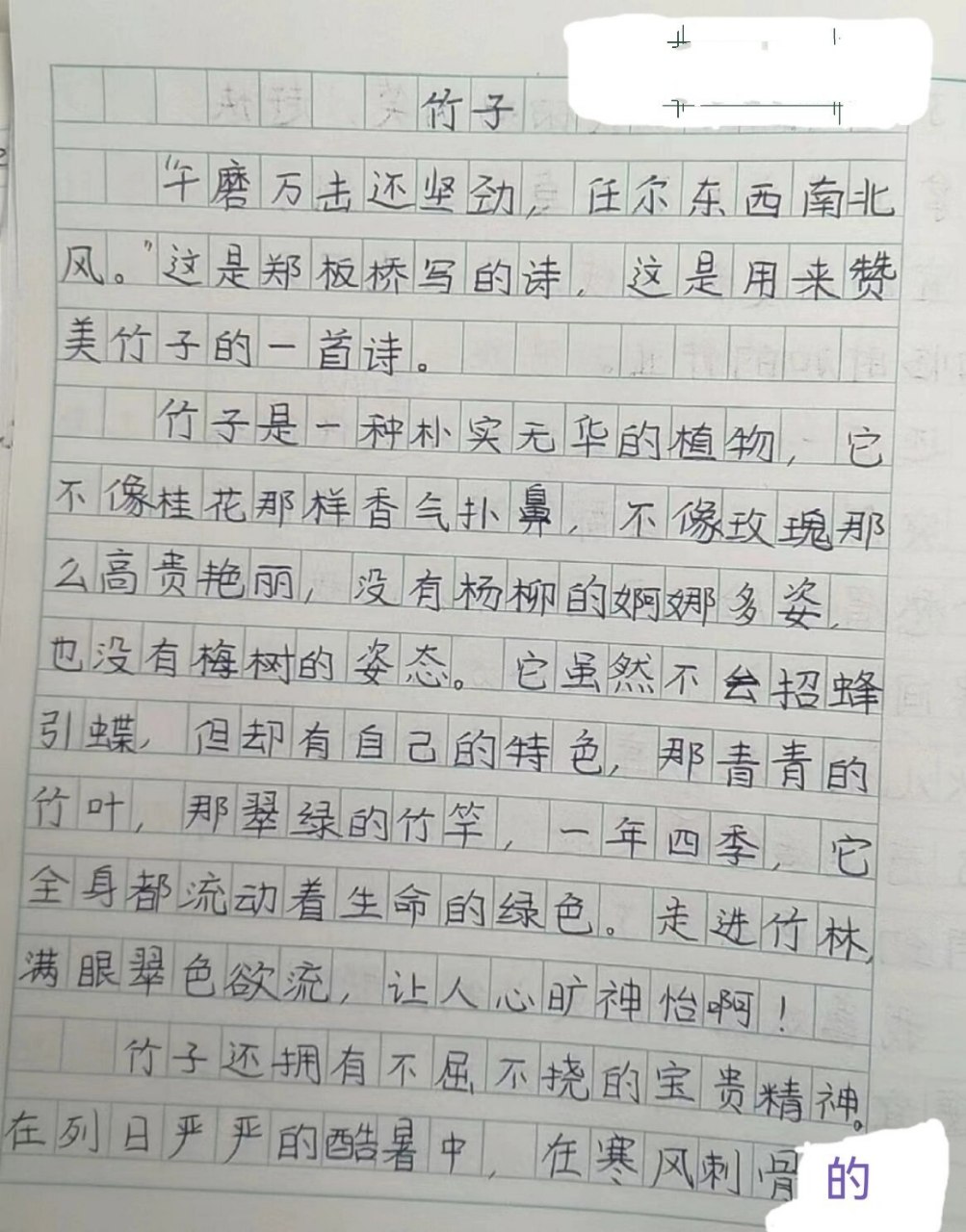 五年级上册介绍一种事物---之竹子