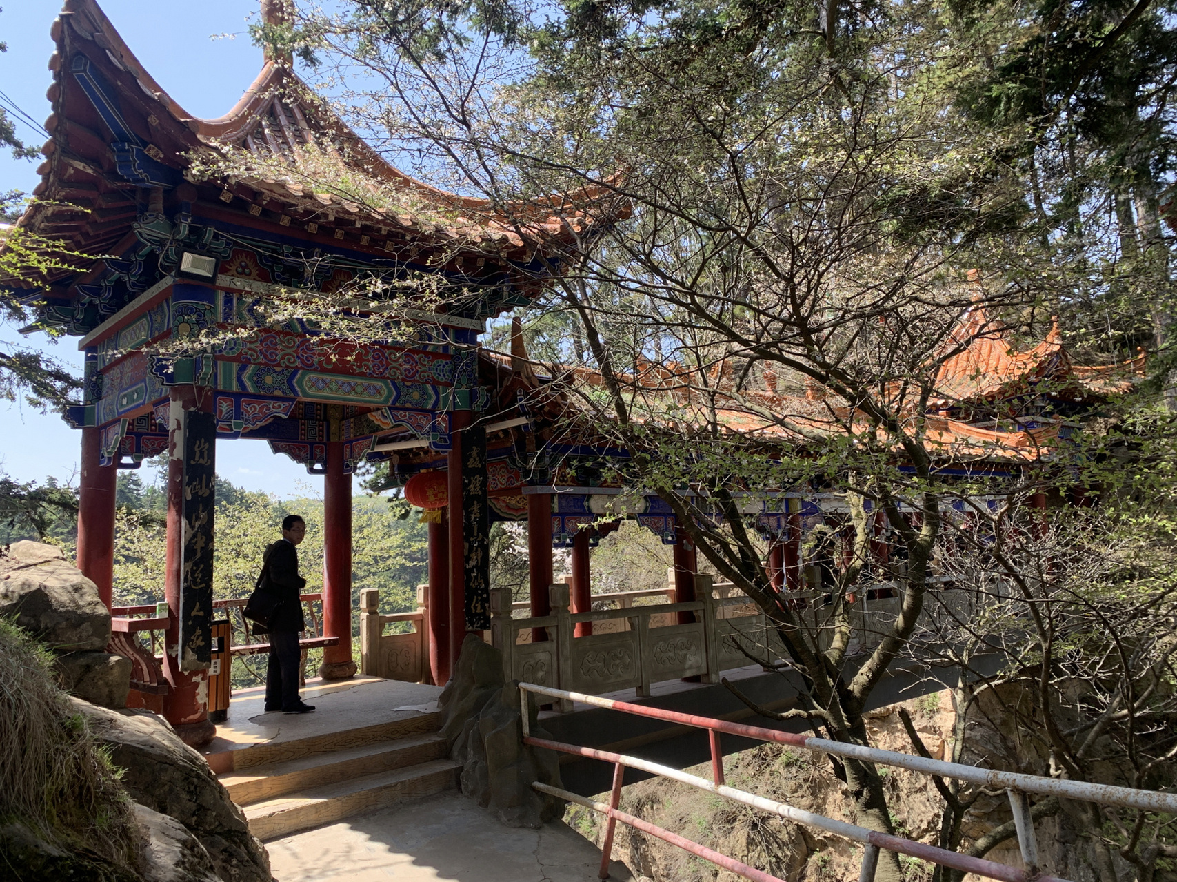 云雾贵清——贵清山 一个人去的,门票加车票35元,车可以开到停车场.