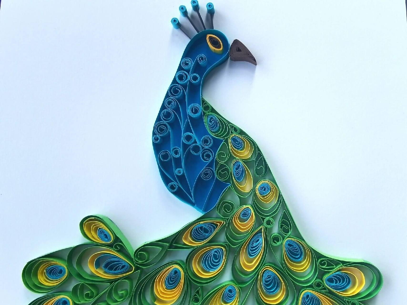 衍纸手工～孔雀