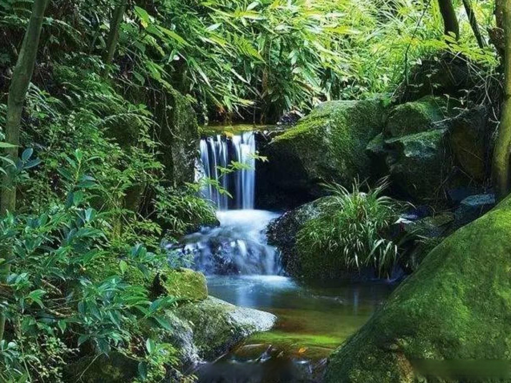 连通区县# 藏云溪古道位于翠屏山下藏云溪景区内,以蜿蜒曲折潺潺