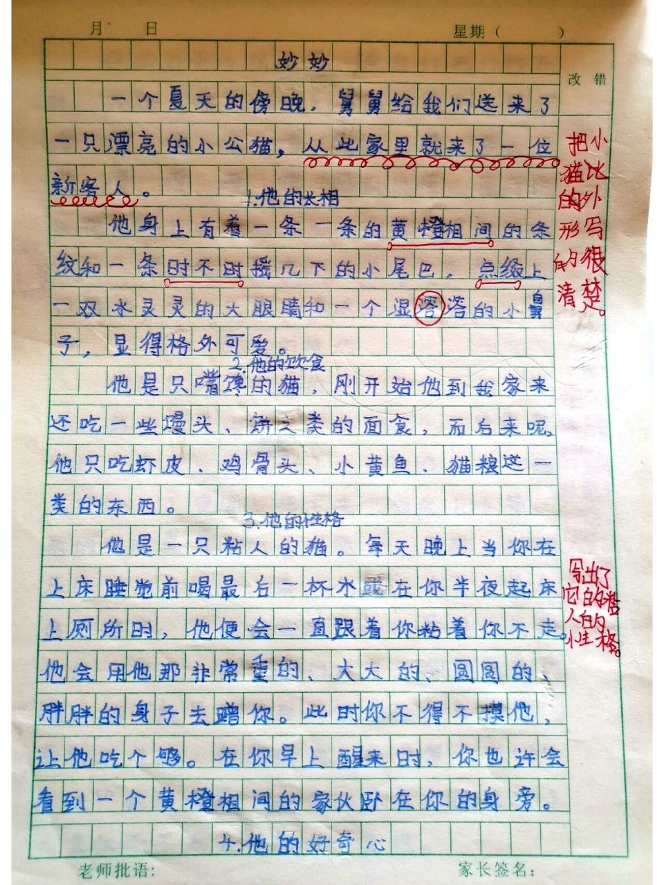 四年级作文—我的动物朋友 妙妙是一只橘猫 可爱又高冷 最近小朋友