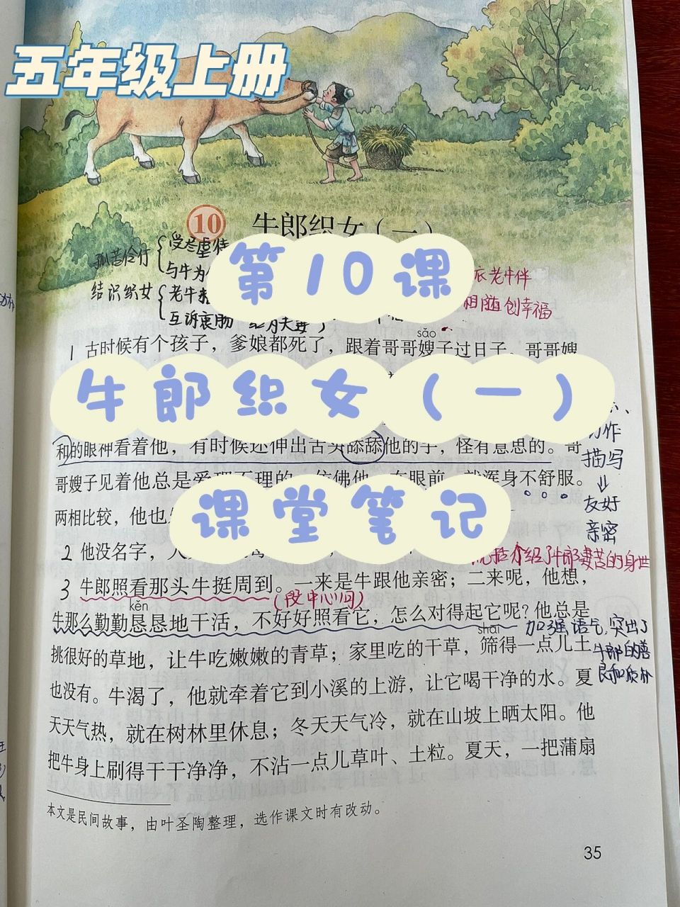 五上第10课《牛郎织女(一)》课堂笔记