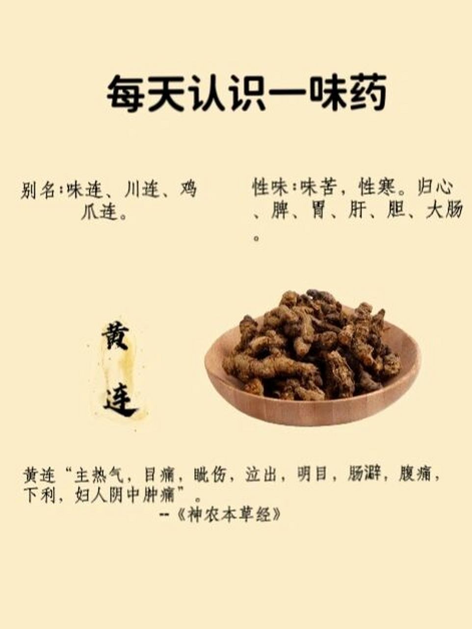 每天认识一味药--黄连 7415功效与作用:  7415功能主治: 清热