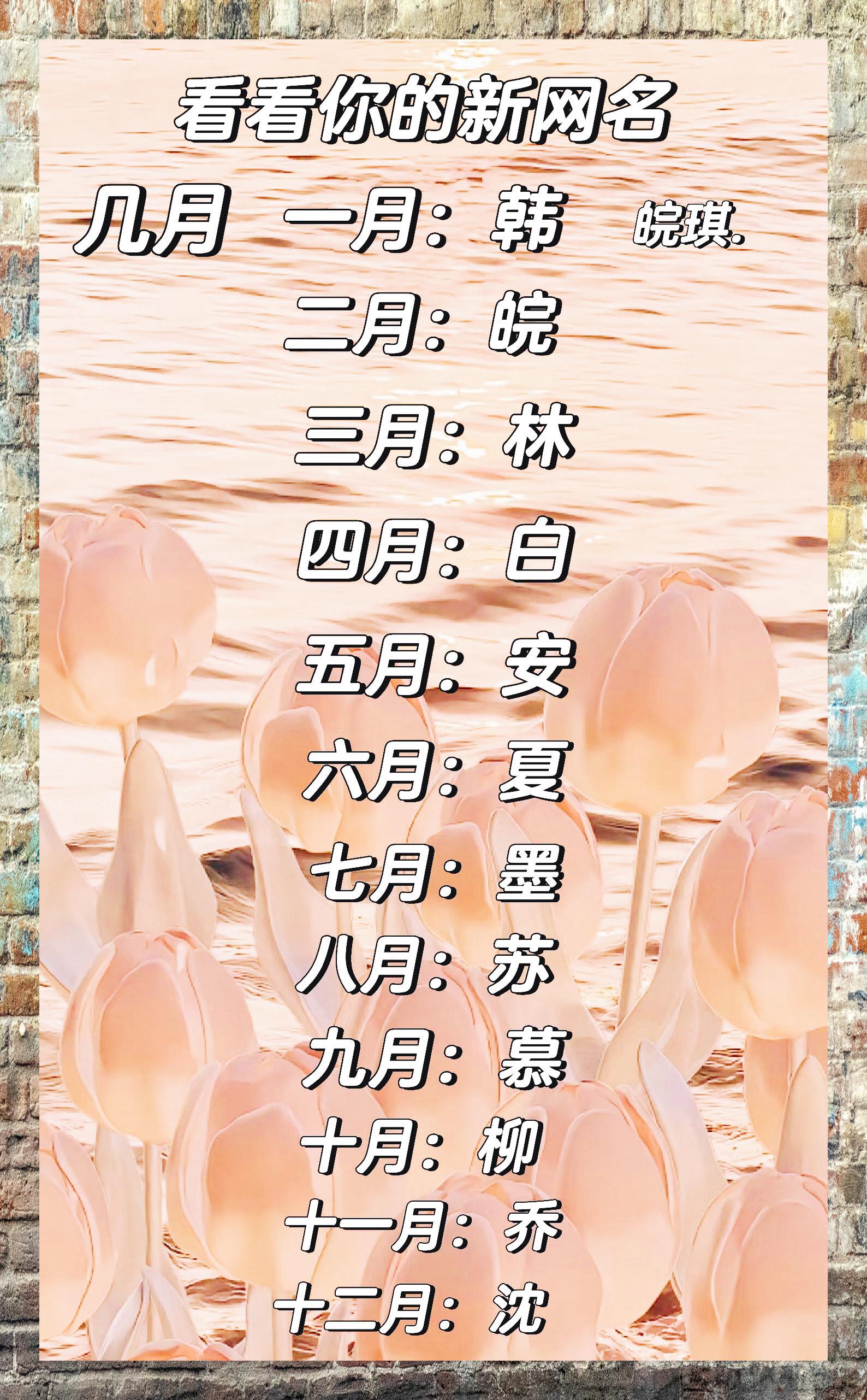 展示你的新网络昵称