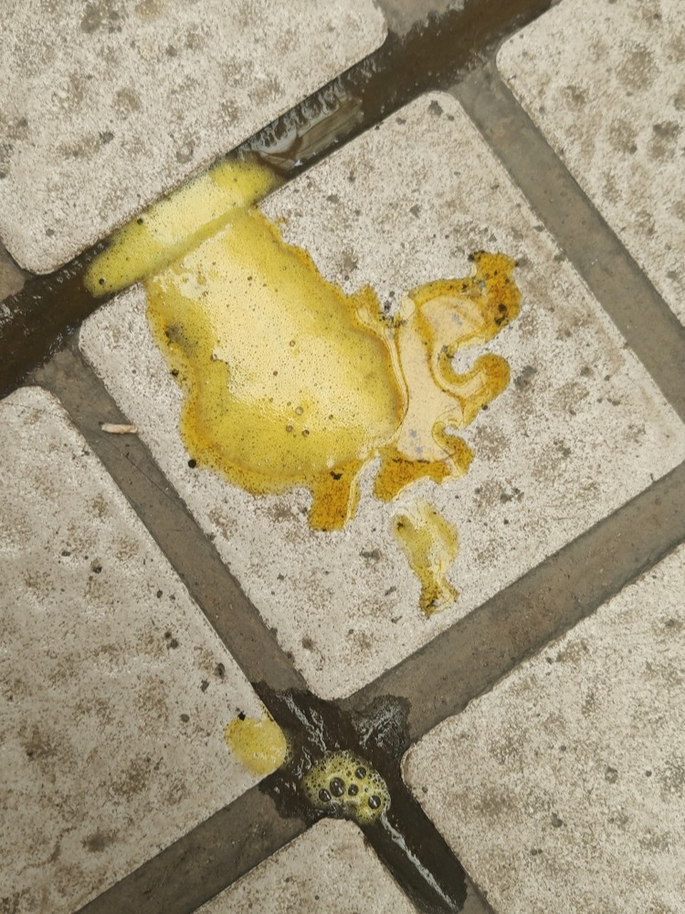 狗狗吐了黄黄粘稠液体图片