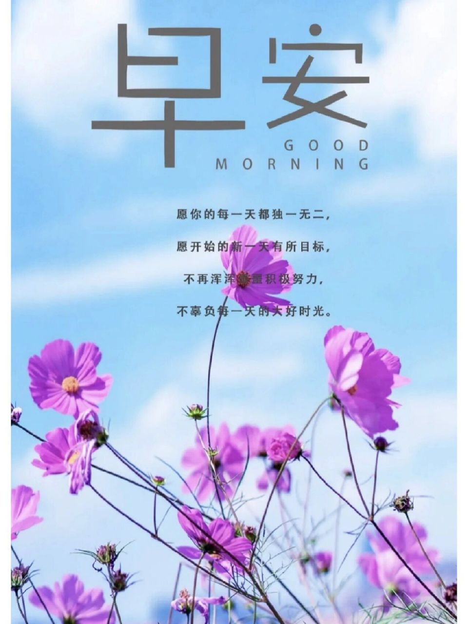 正能量文案#朋友圈早安文案 73早安积极向上阳光励志短语,奋发向上