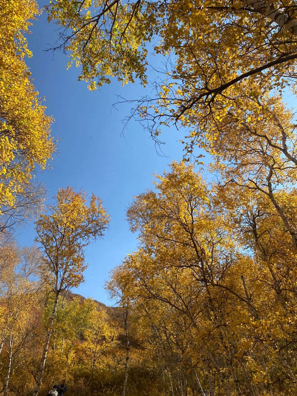 包头国庆周边游|马鞍山景区94 马鞍山景区位于包头市固阳县城东南约