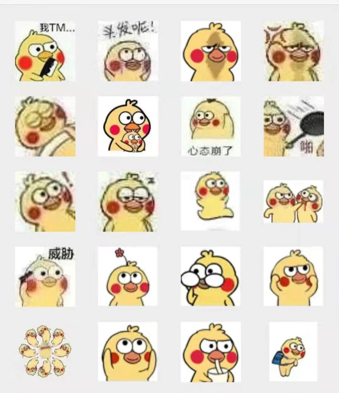 可爱的小黄鸡表情包 分享表情包 有你喜欢的表情吗