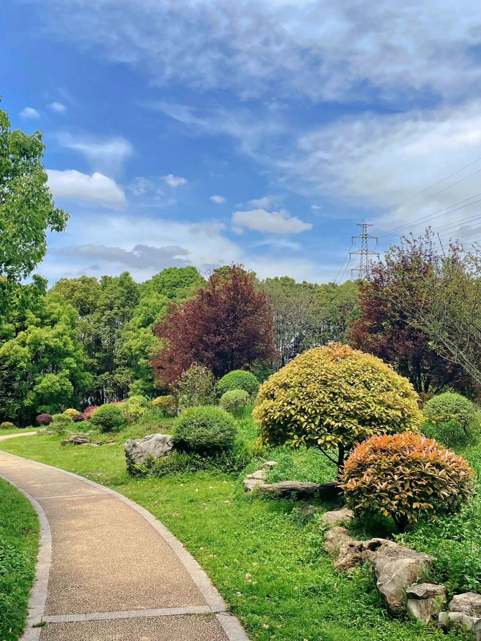 重庆主城区照母山森林公园7215 重庆主城区照母山森林公园72