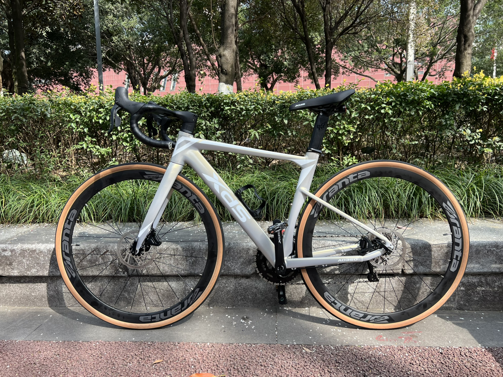 公路车入门-喜德盛 ad350 官网说是奶油黄其实就是银白色(我挺喜欢)