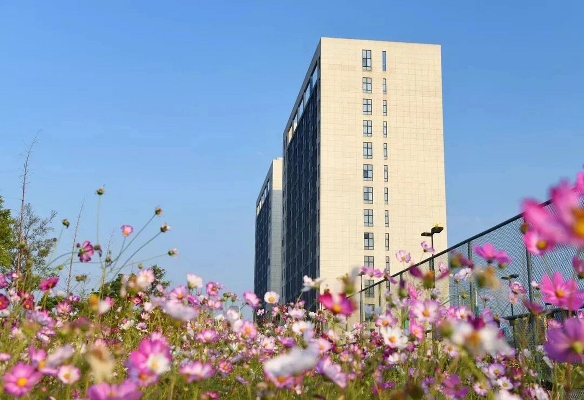 浙江工业大学之江学院学生宿舍 之江宿舍分为早湖楼群和梦湖楼群,以及