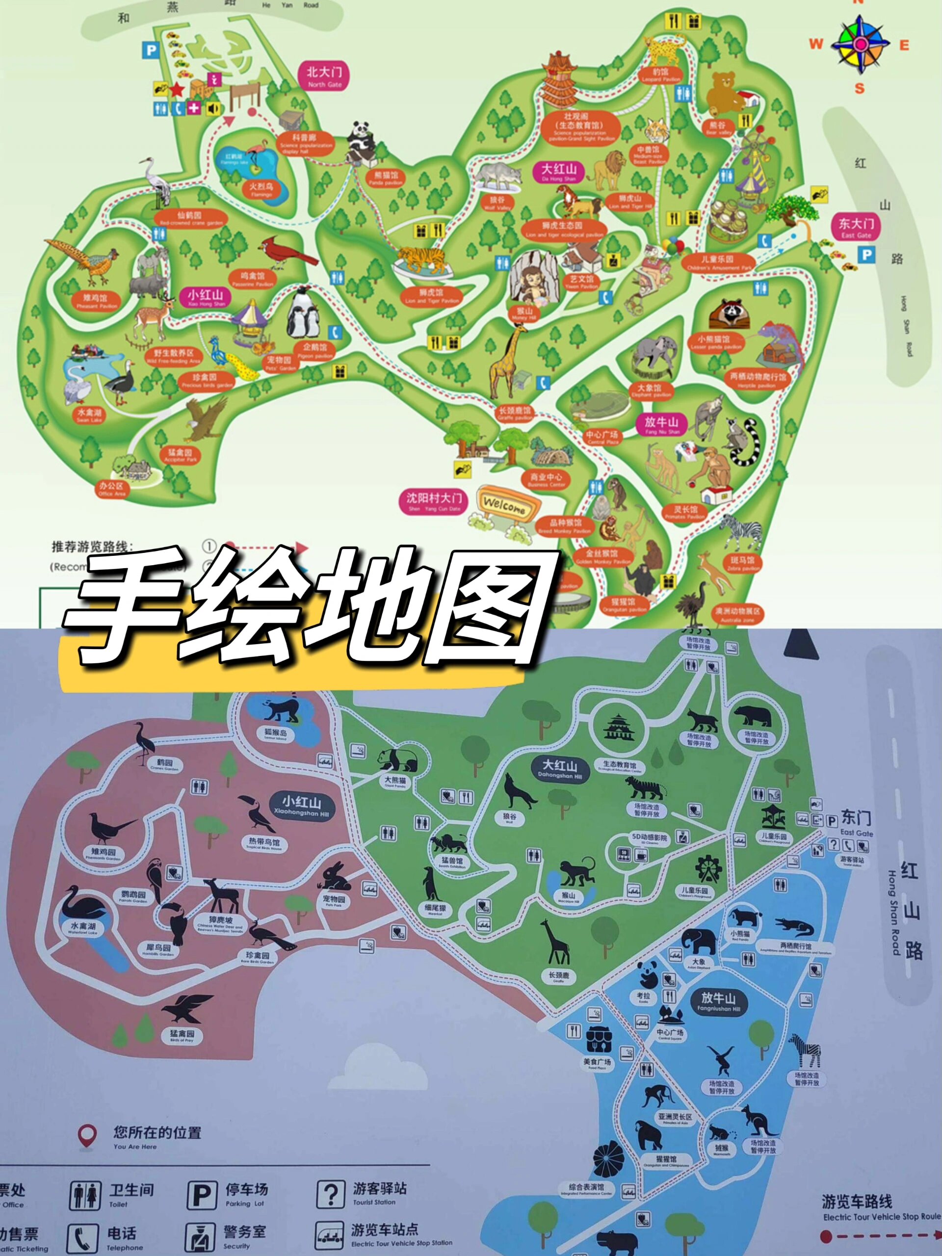 南京红山动物园游玩攻略|不走回头路6015 90门票价格:成人40元