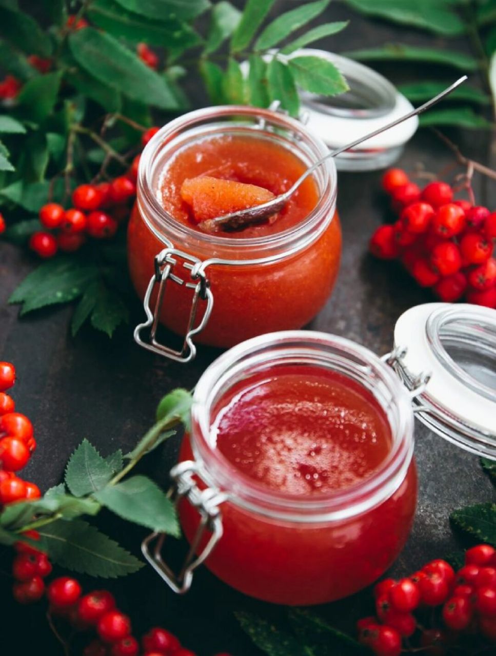 英式罗文浆果果冻 |rowan berry jelly90 罗文浆果出现在夏末和初秋