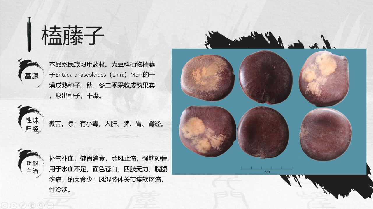 『冷背药专题』除风止痛的榼藤子