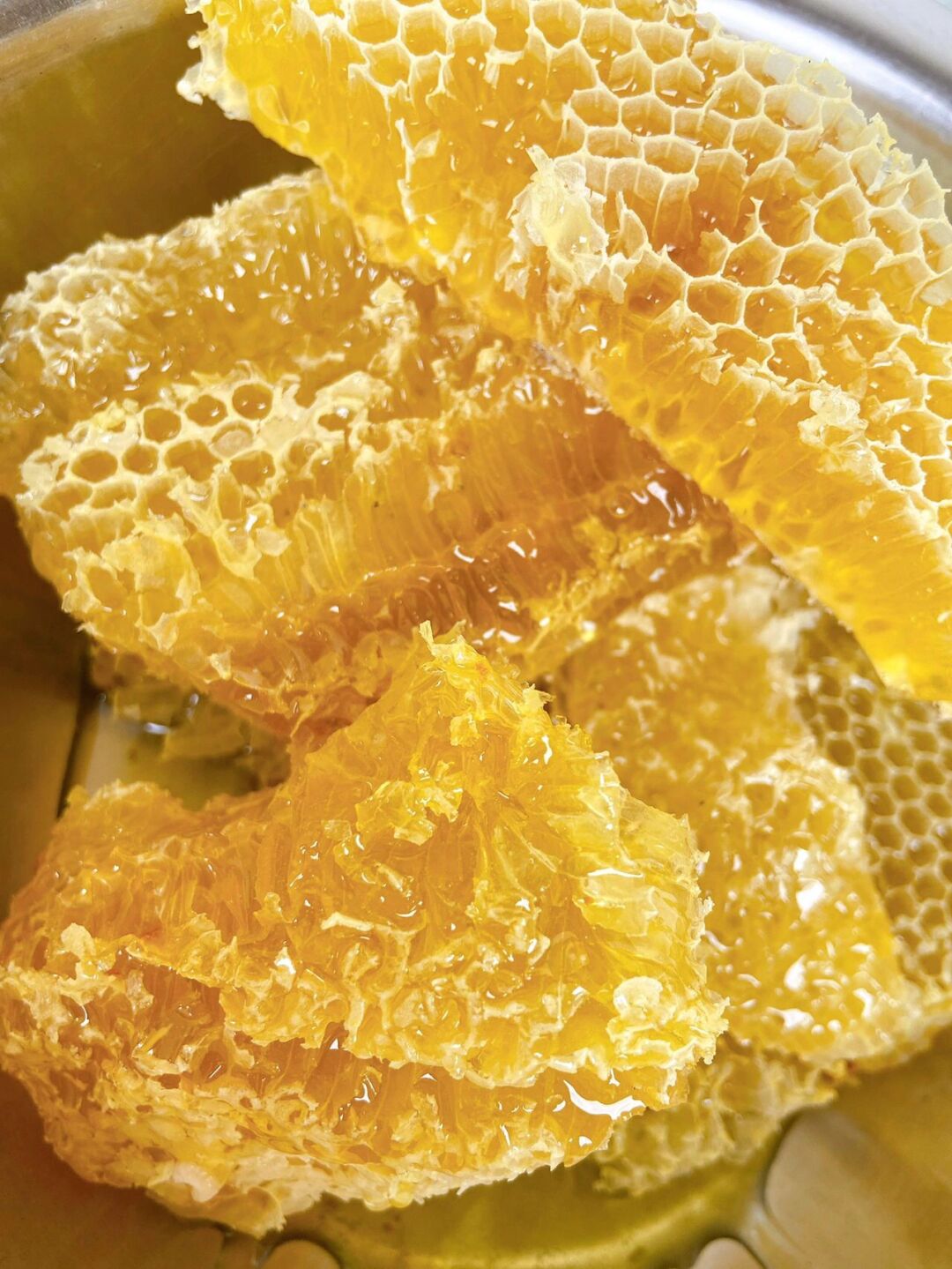 真正的土蜂蜜会凝固吗(土蜂蜜凝固的很坚硬是好吗)
