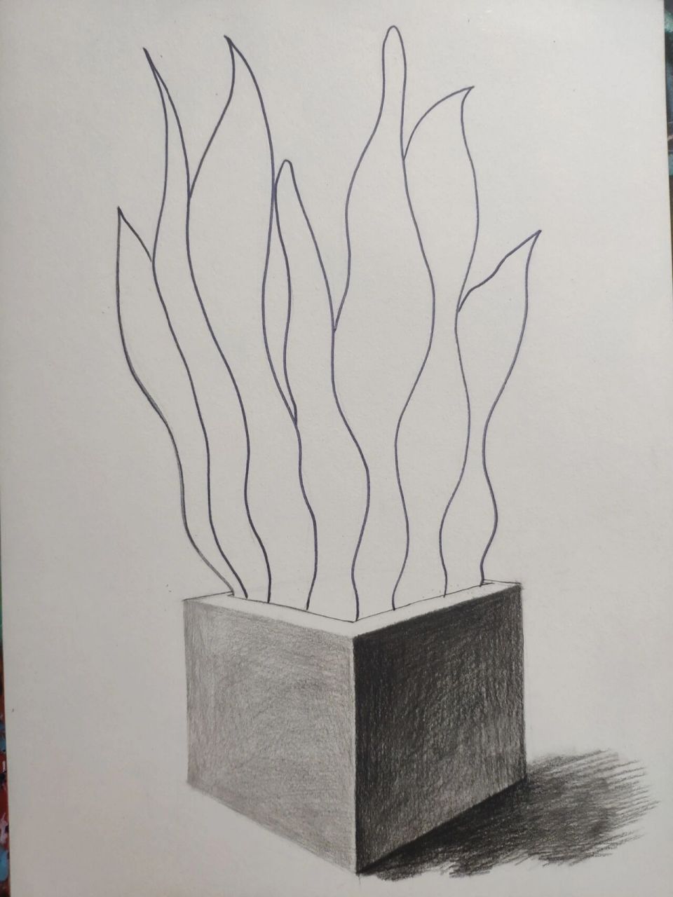 可以试着先从创意素描开始画起,相对于素描来说,创意素描更简单,更