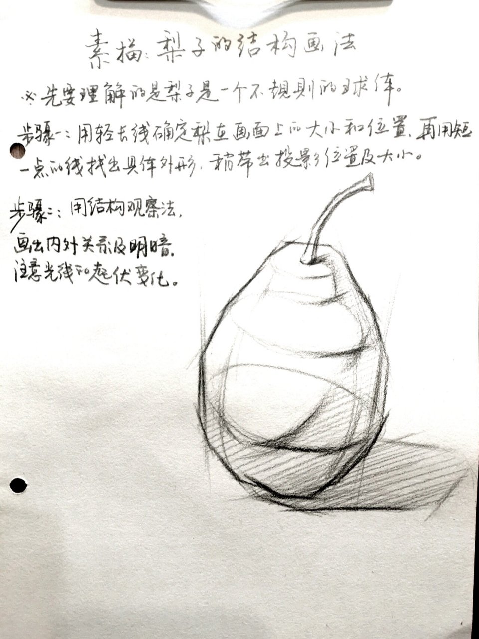 素描梨子的画法图片