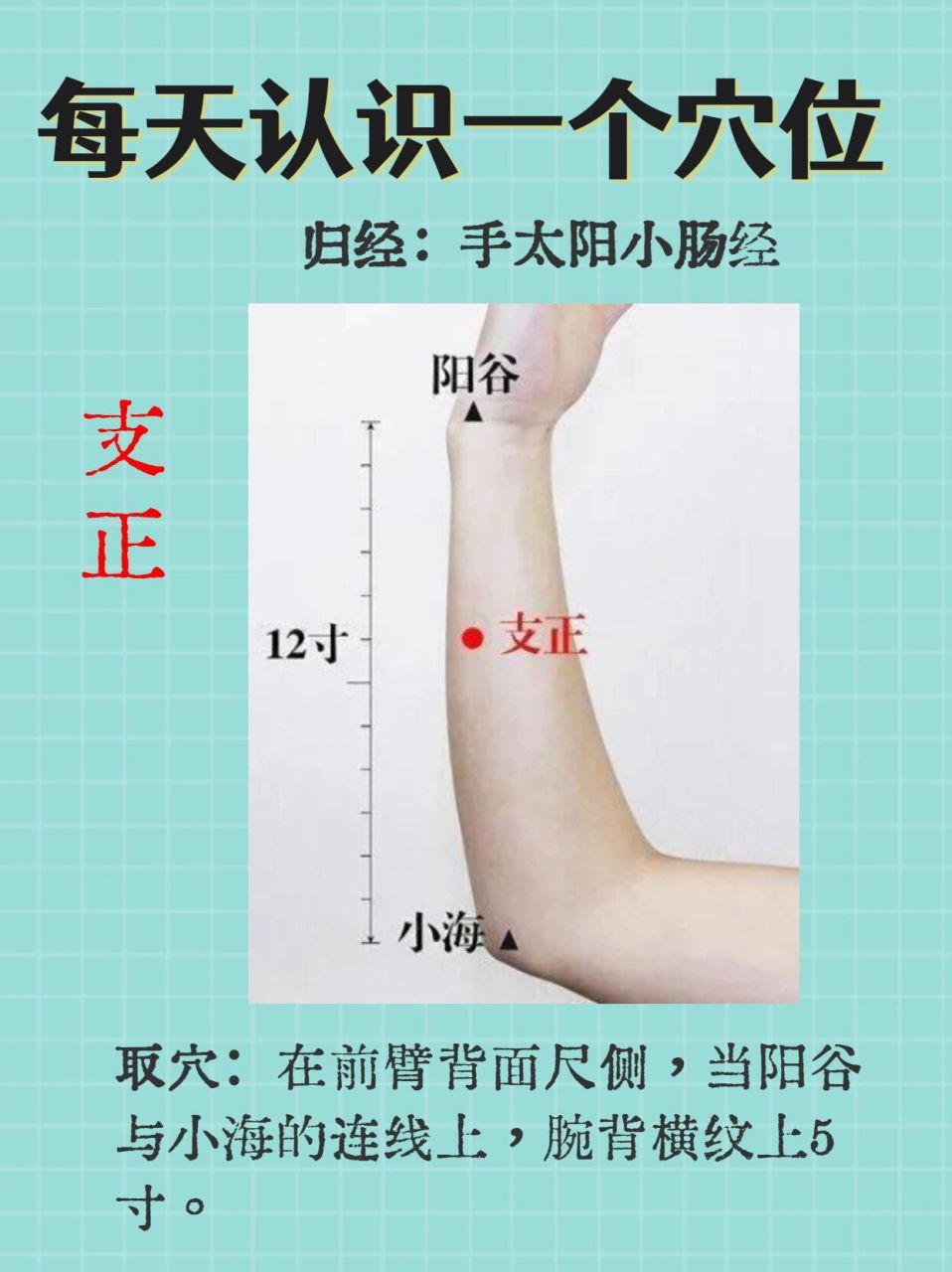 每天认识一个穴位-支正