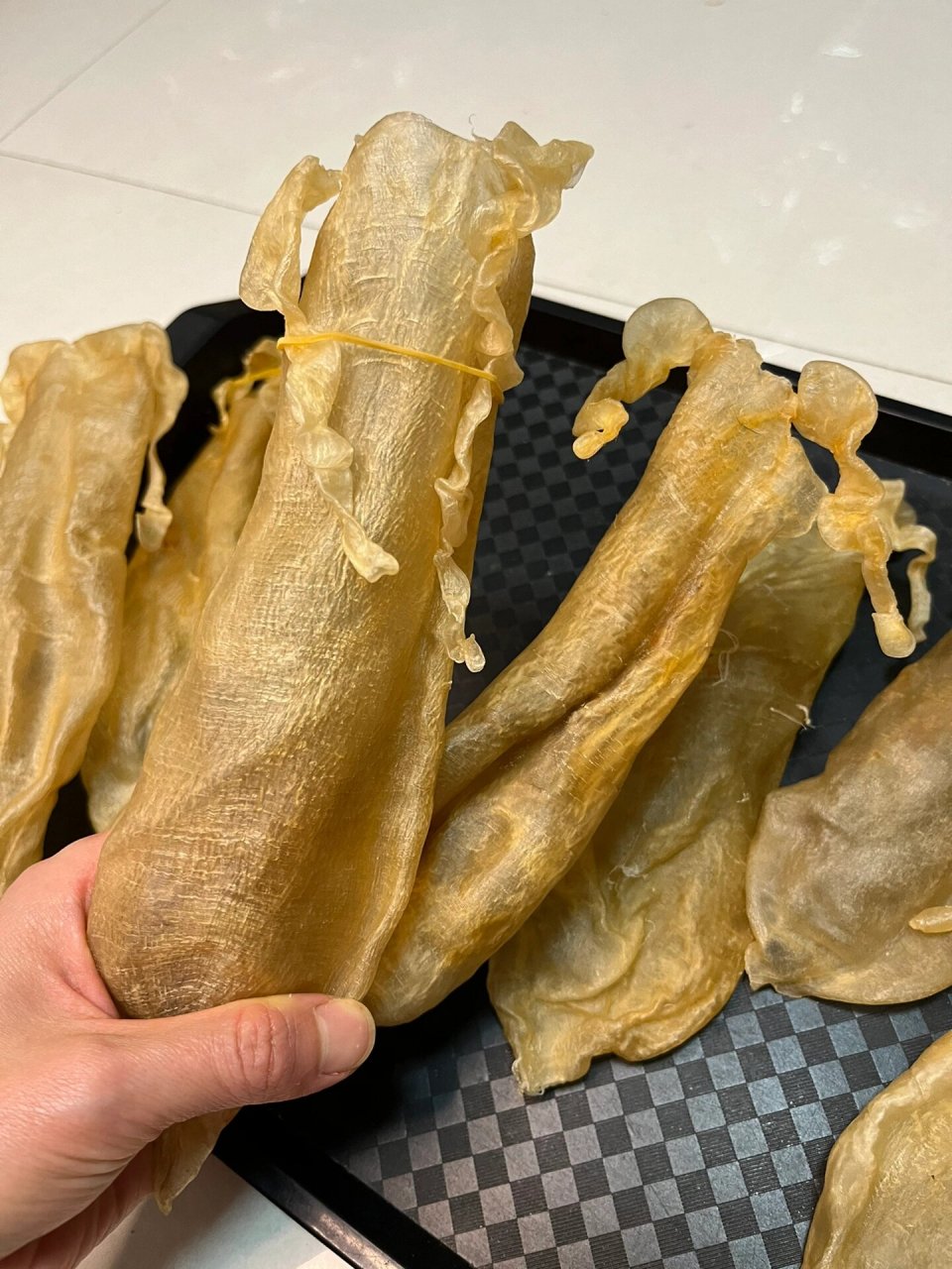 小金钱鱼胶,金钱须胶 以欢喜之心,漫度日常