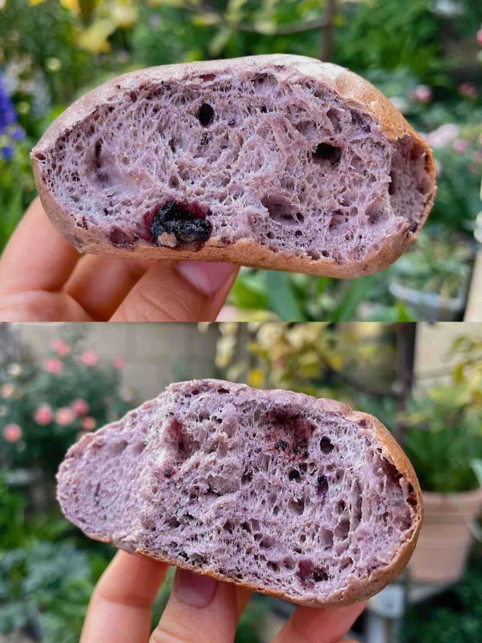 08蓝莓黑麦贝果|蓝莓酱版 99我又来做蓝莓贝果了,试一下黑麦的素