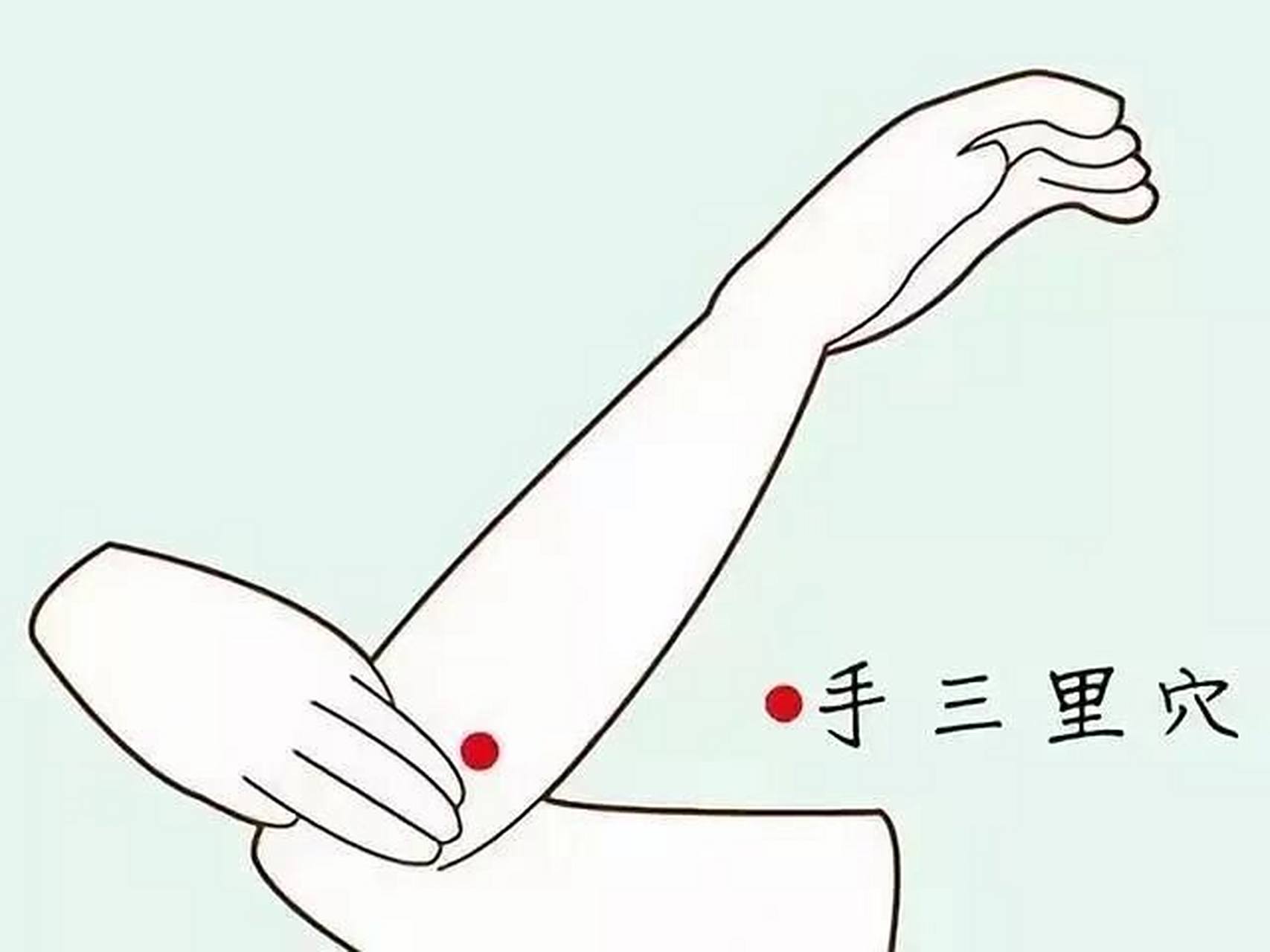手三里的作用与位置 9799手三里穴具有通经活络,养颜美容,清热