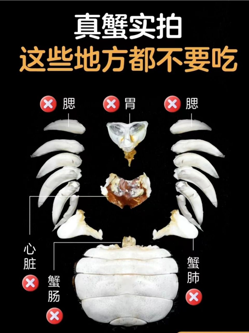 大闸蟹哪些部位不能吃 图片一目了然