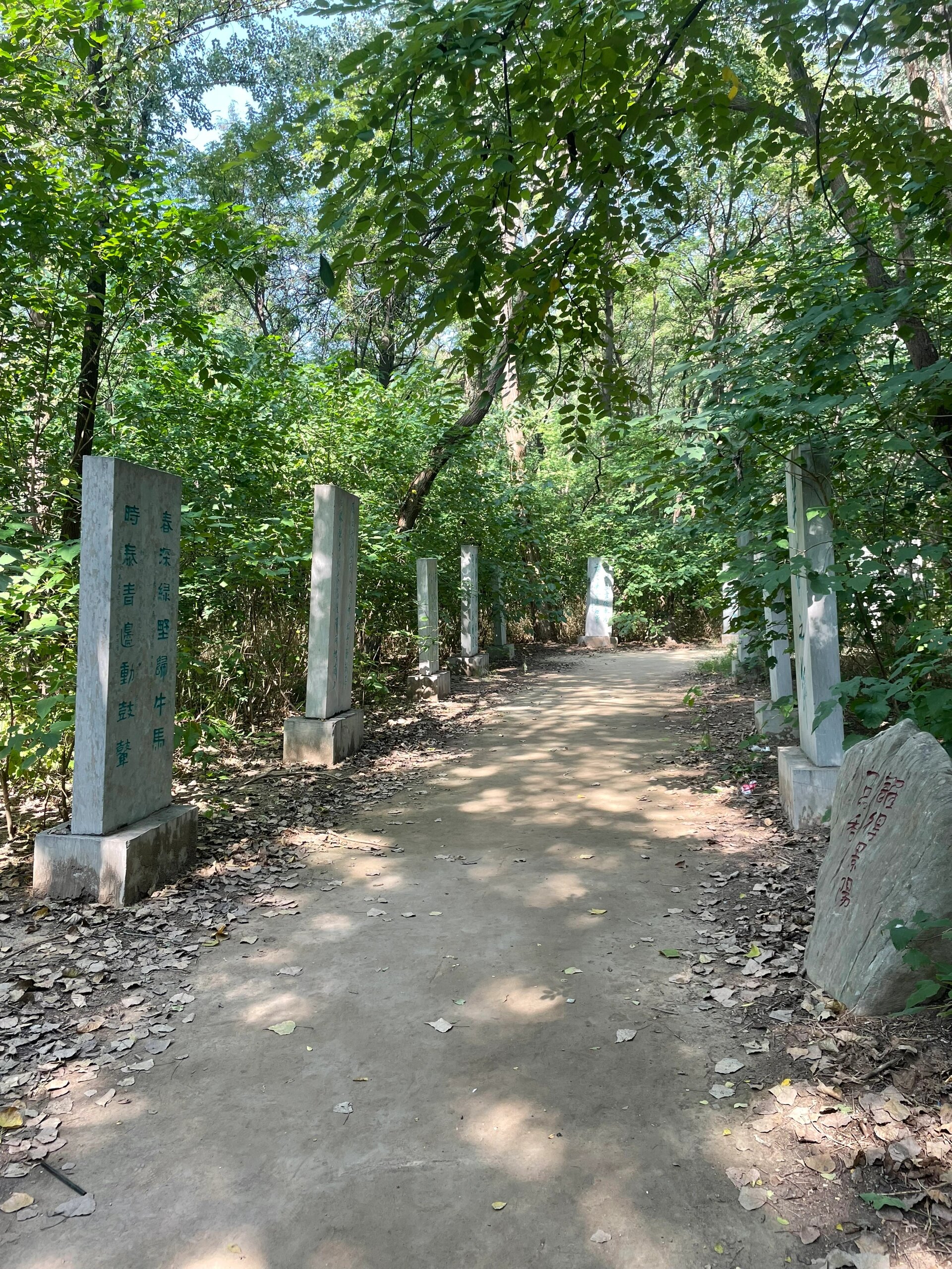 现为景阳冈旅游景区,该位于山东省聊城市阳谷县县城东(偏南)16公里