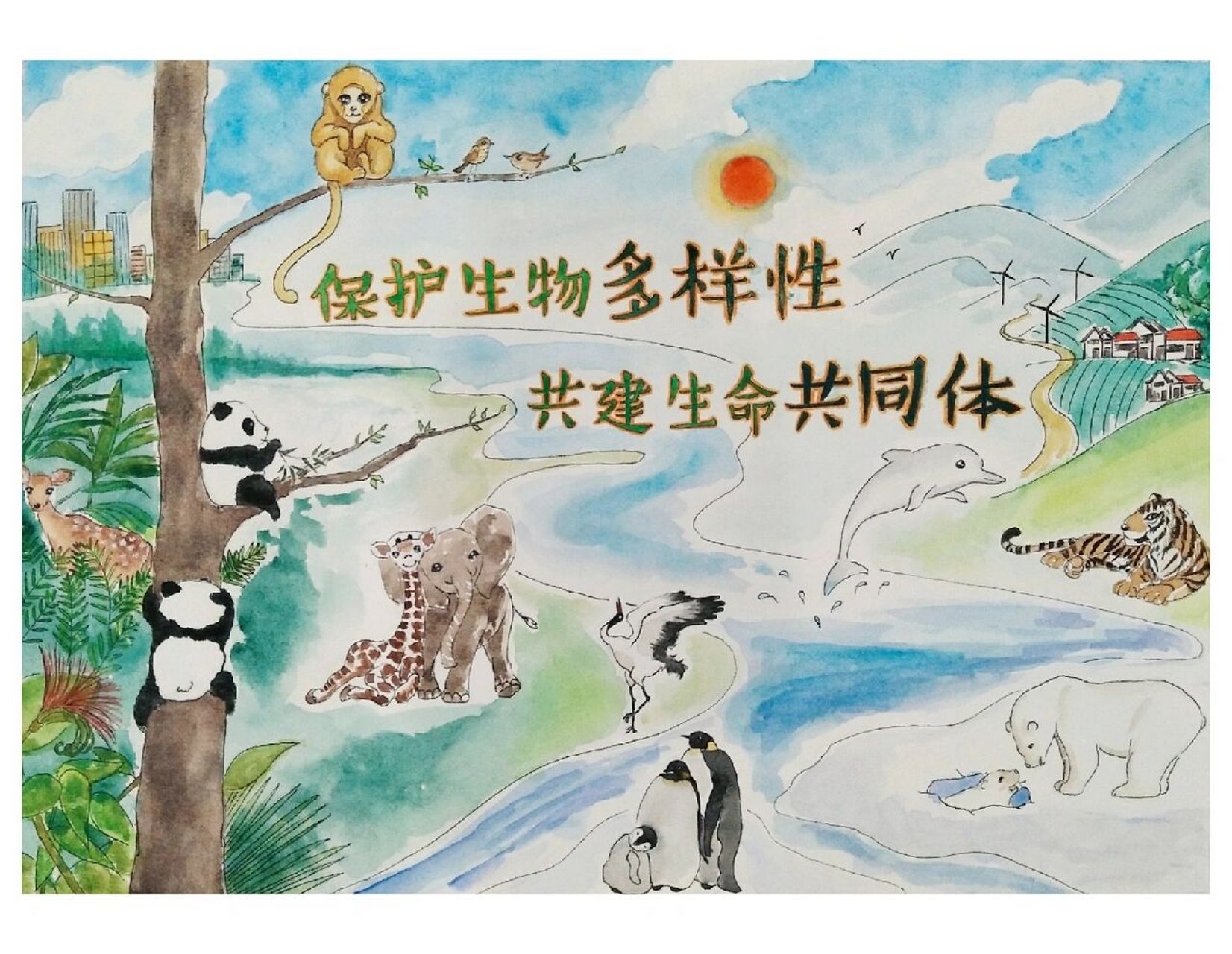 原创手绘海报《保护生物多样性》   又是一张历史,也是我历史当中很