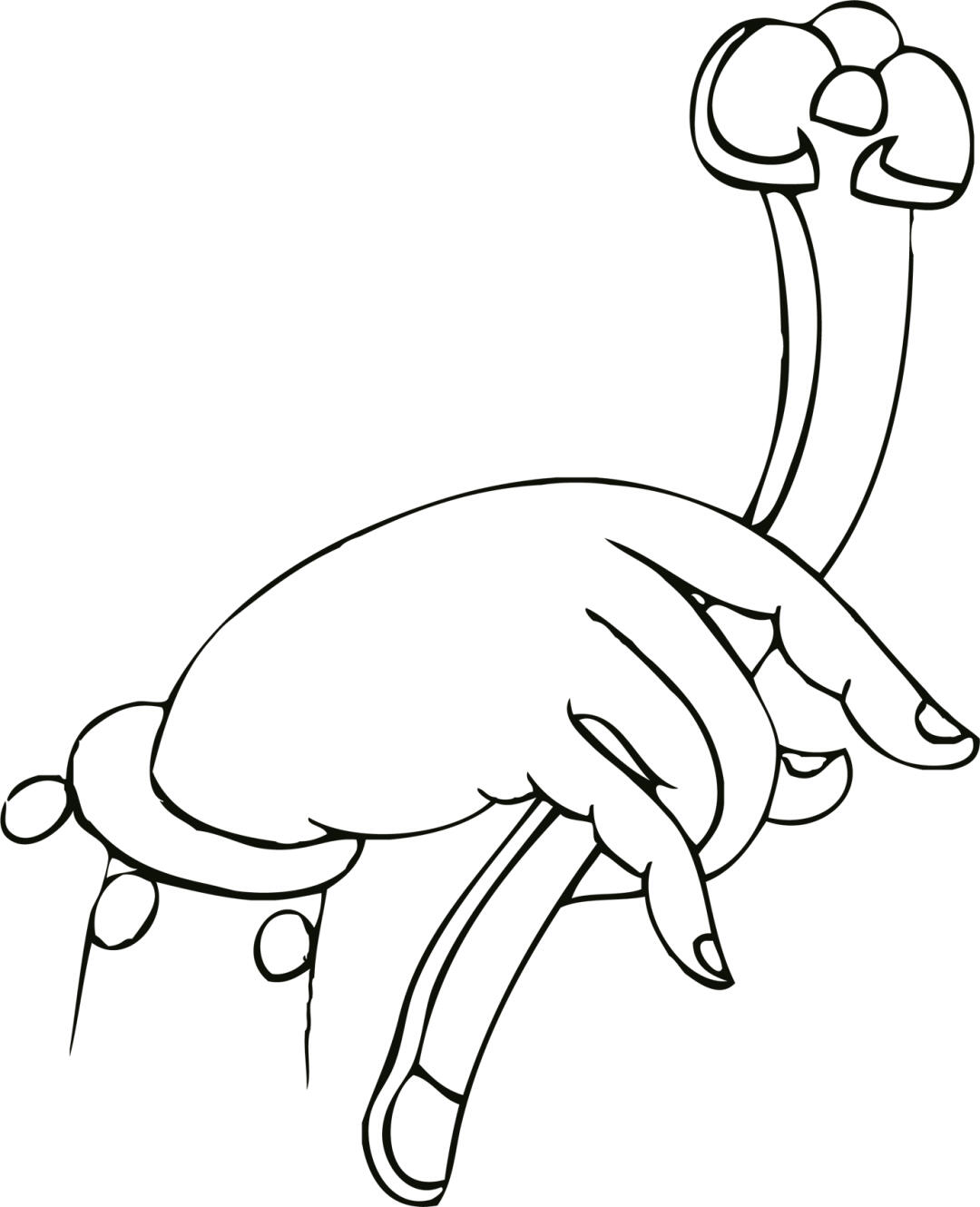 佛手线描·白描国画专业参考素材资料稿·壹