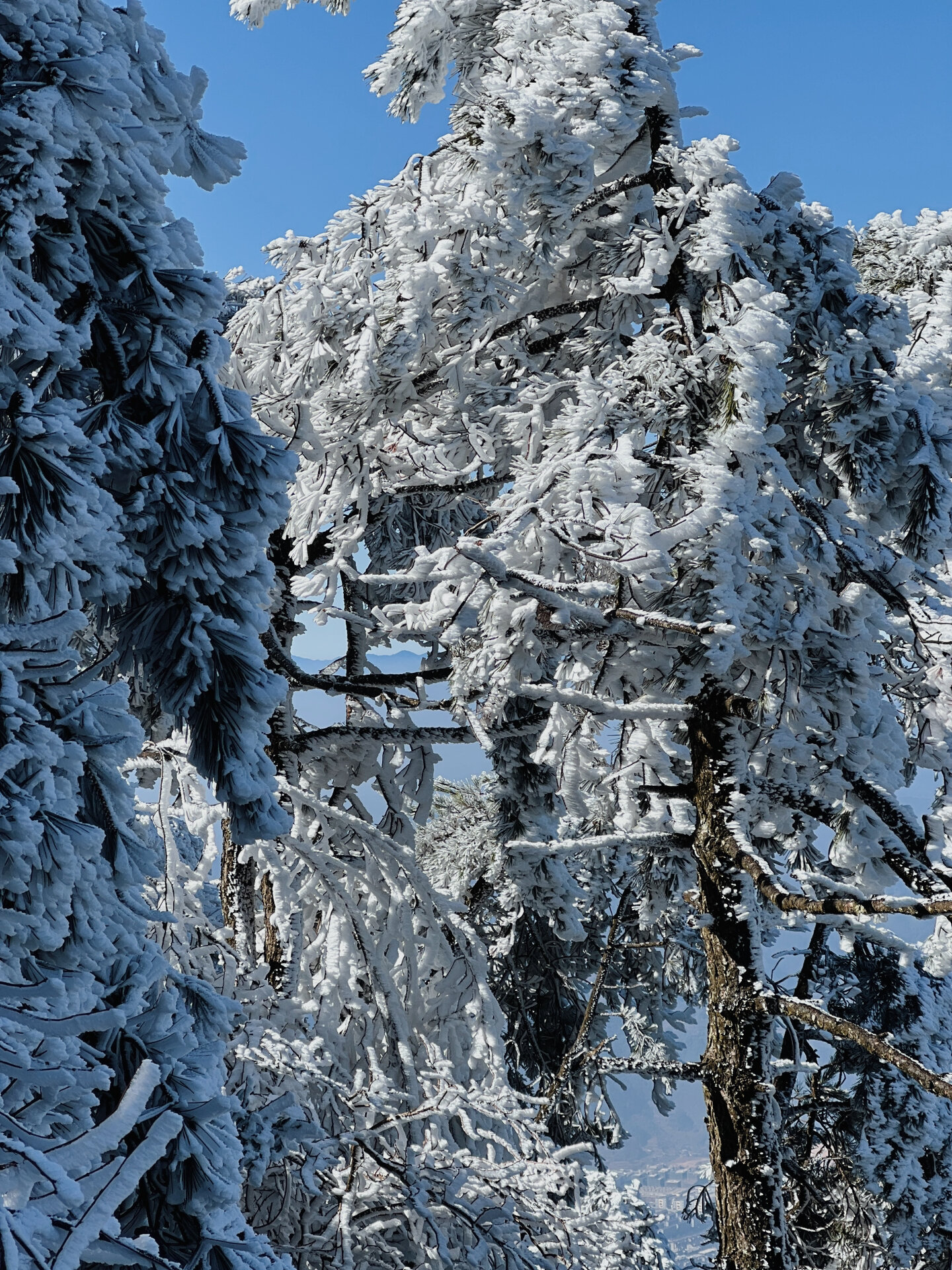 春节出游笔记 day2 丽水景宁 青田千峡湖 day2路线: 景宁县城出发-1