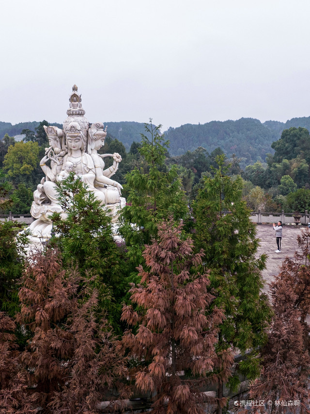 重庆天心寺图片图片