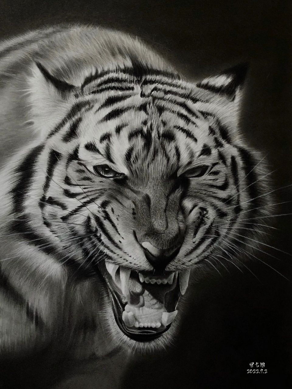【素描动物】虎年画虎–威武霸气的老虎91 老虎是森林百兽之王,象征