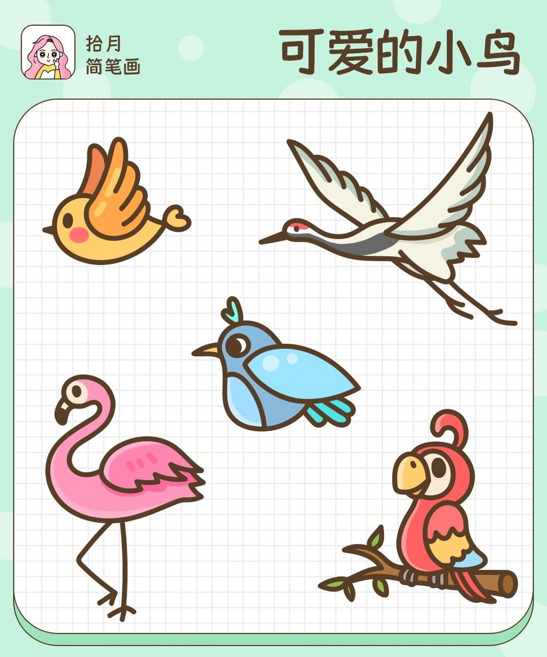拾月简笔画·可爱的小鸟92合集 春眠不觉晓,处处闻啼鸟～ 叽叽喳喳