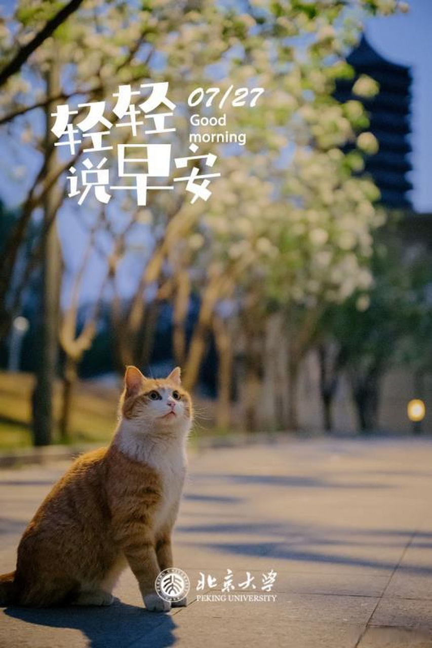 (摄影:陈子衿,今日小编:小达)