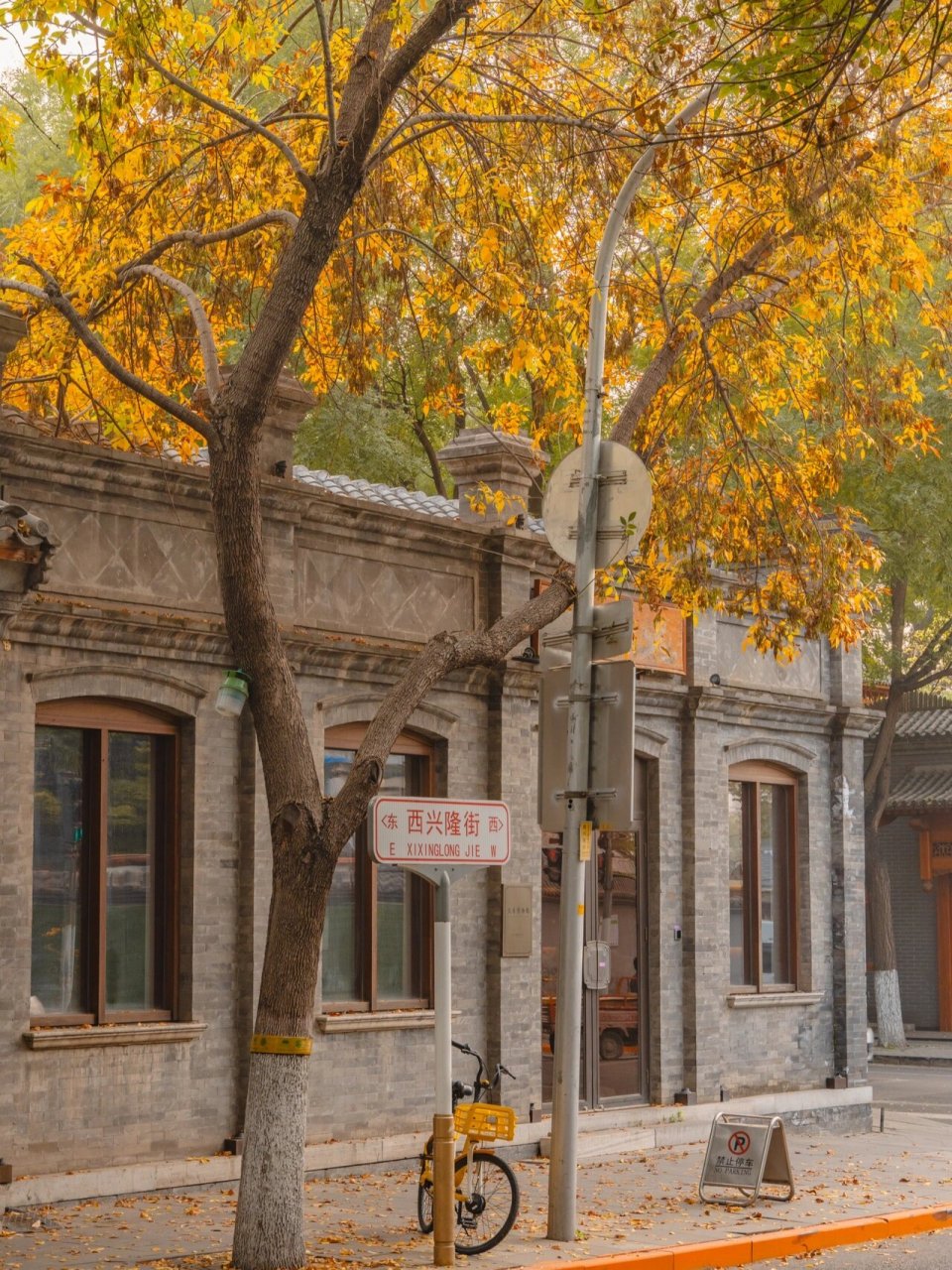 西兴隆街6015北京秋天蕞chill的胡同路线 深秋北京的胡同逛着也太