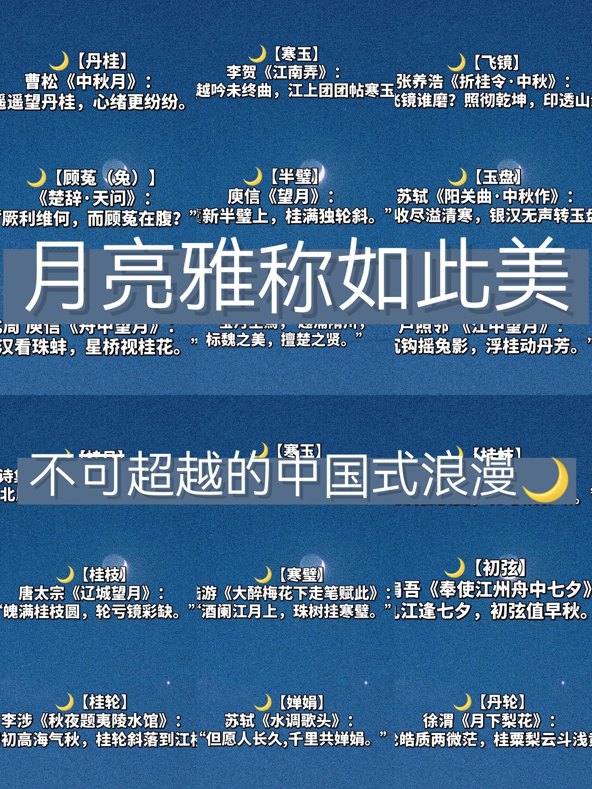 婵娟指什么代称含义