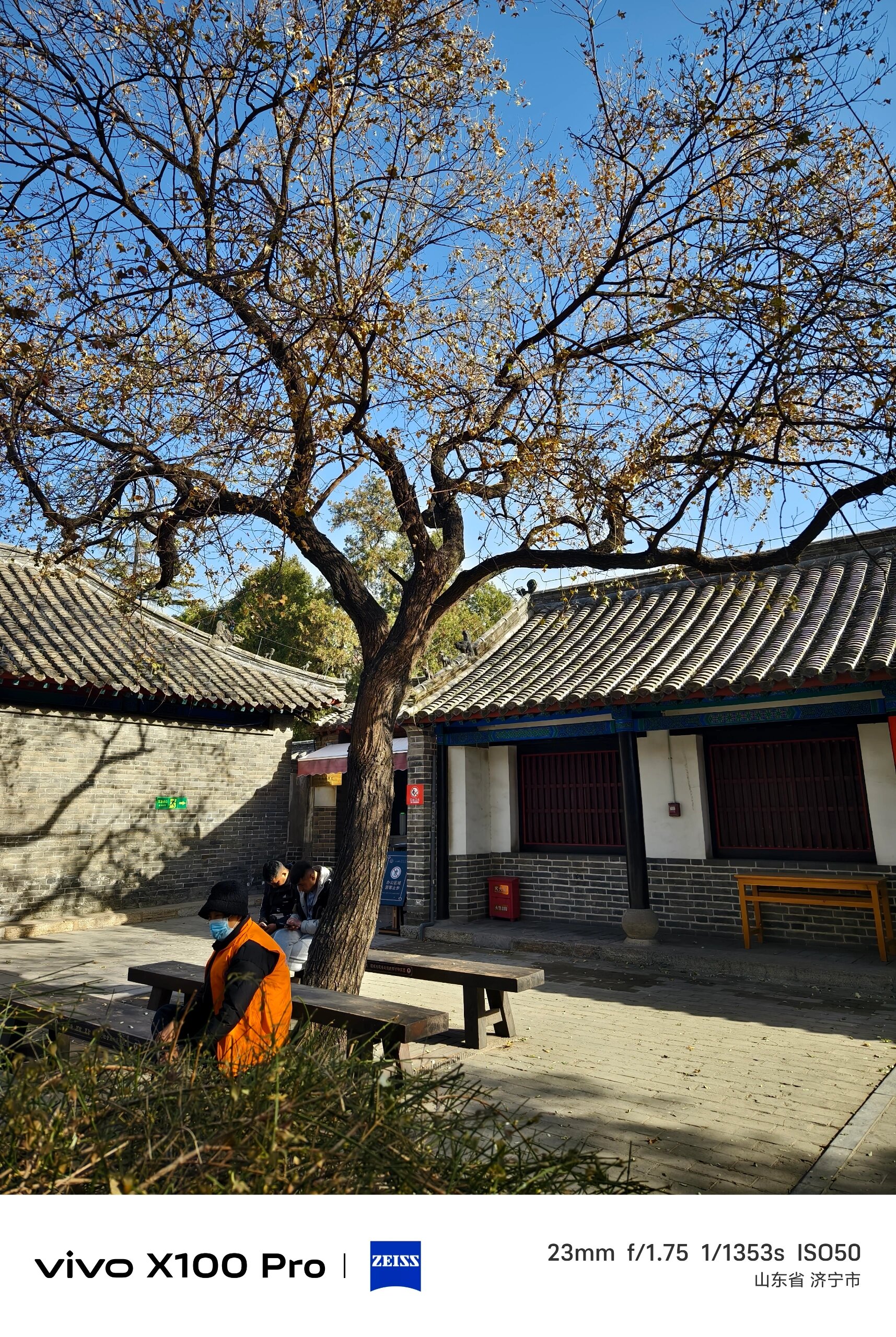 曲阜一日游,孔林,孔庙,孔府 08曲阜一日游攻略|三孔|孔子博物馆