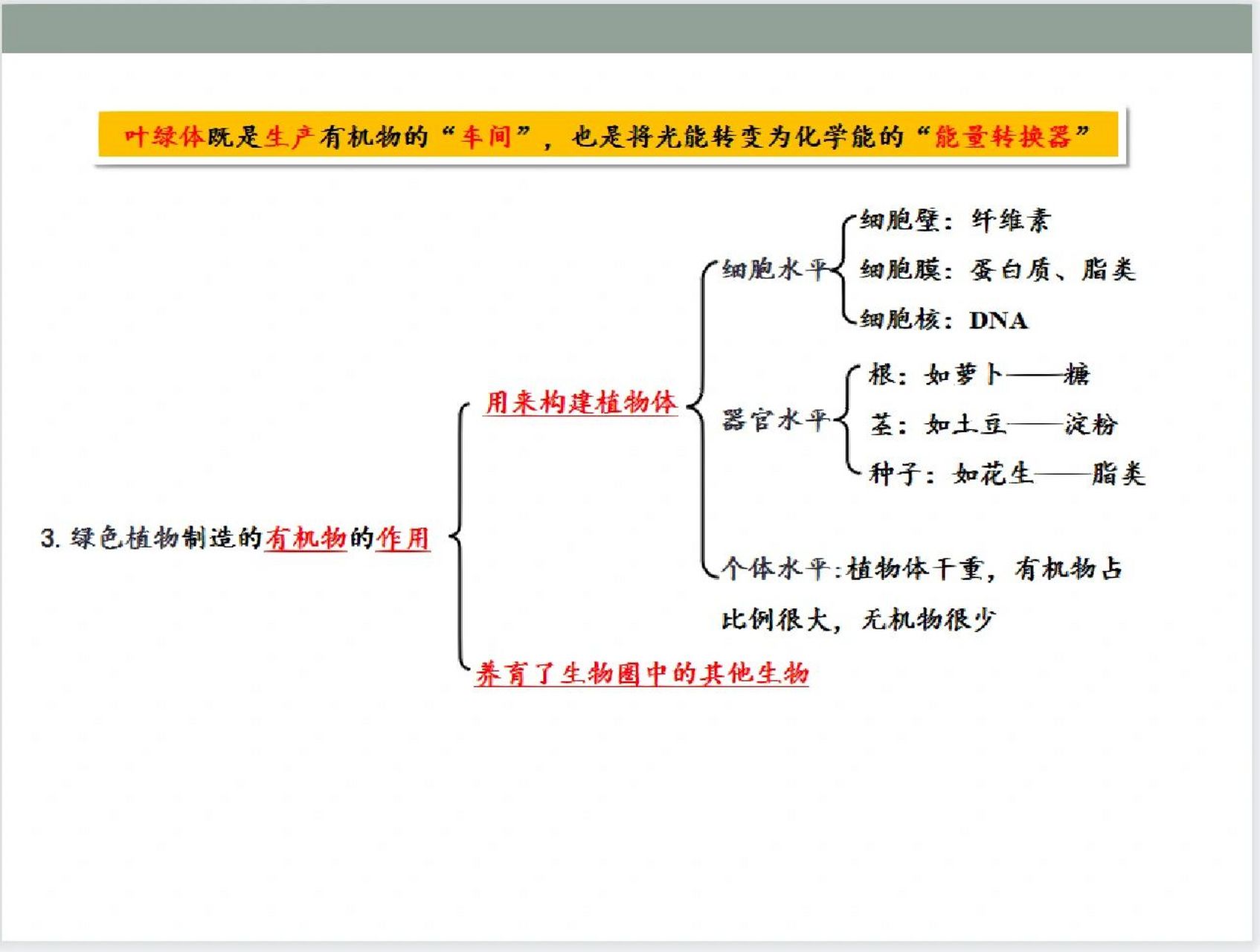 绿色植物是生物圈中有机物的制造者重点内容