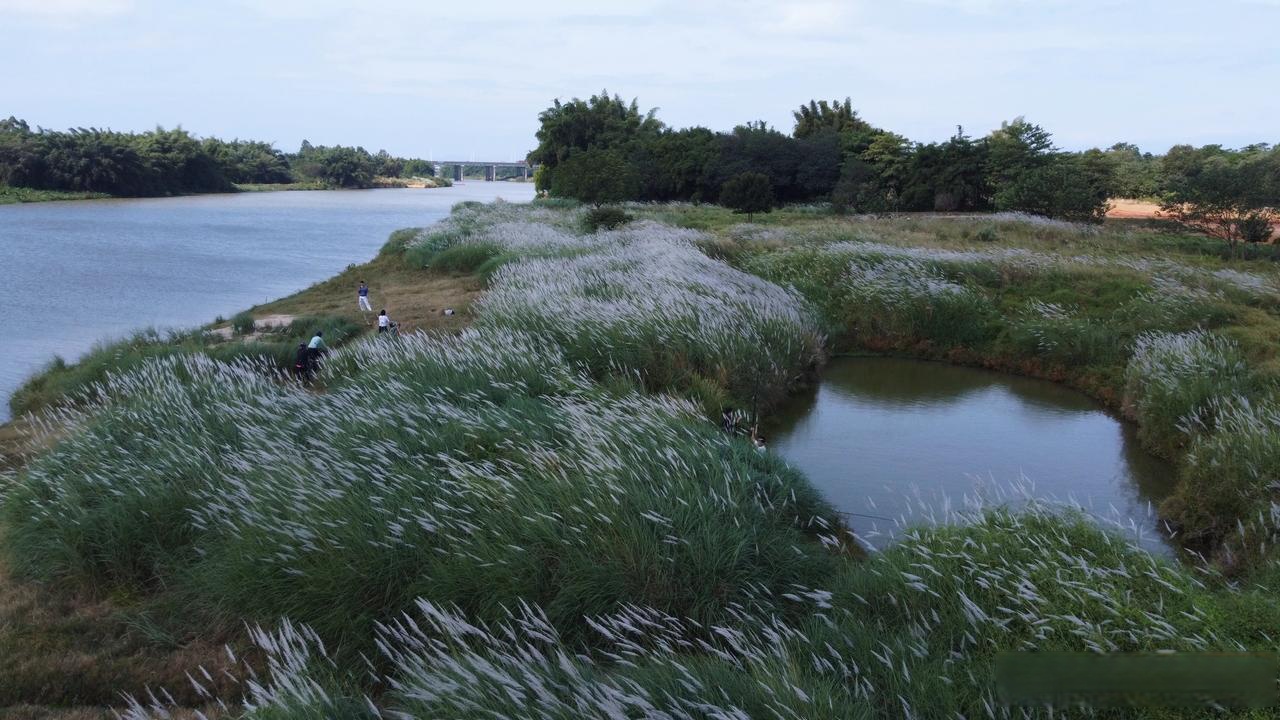 青城天气