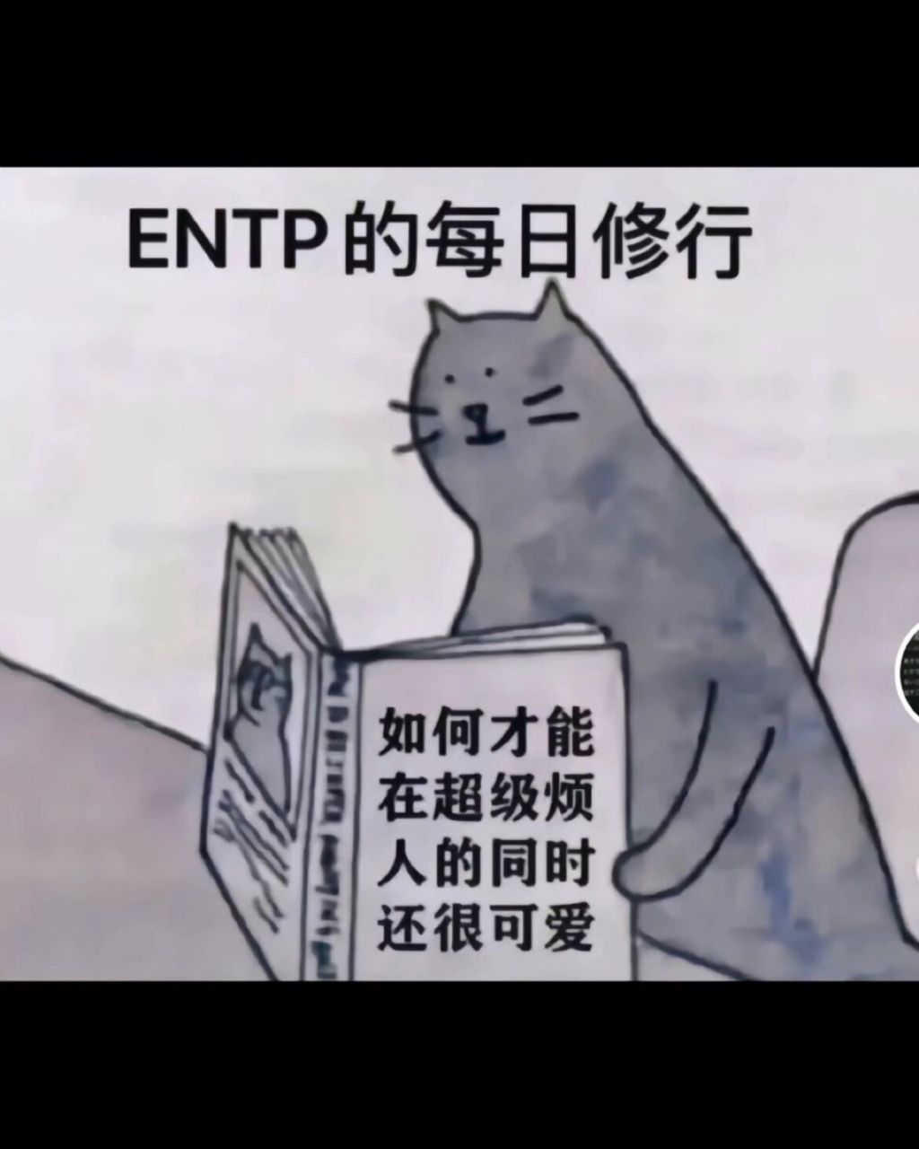 entp(女) 一旦代入了这个设定,我承认了,我是entp(女) 	 主打一个反差