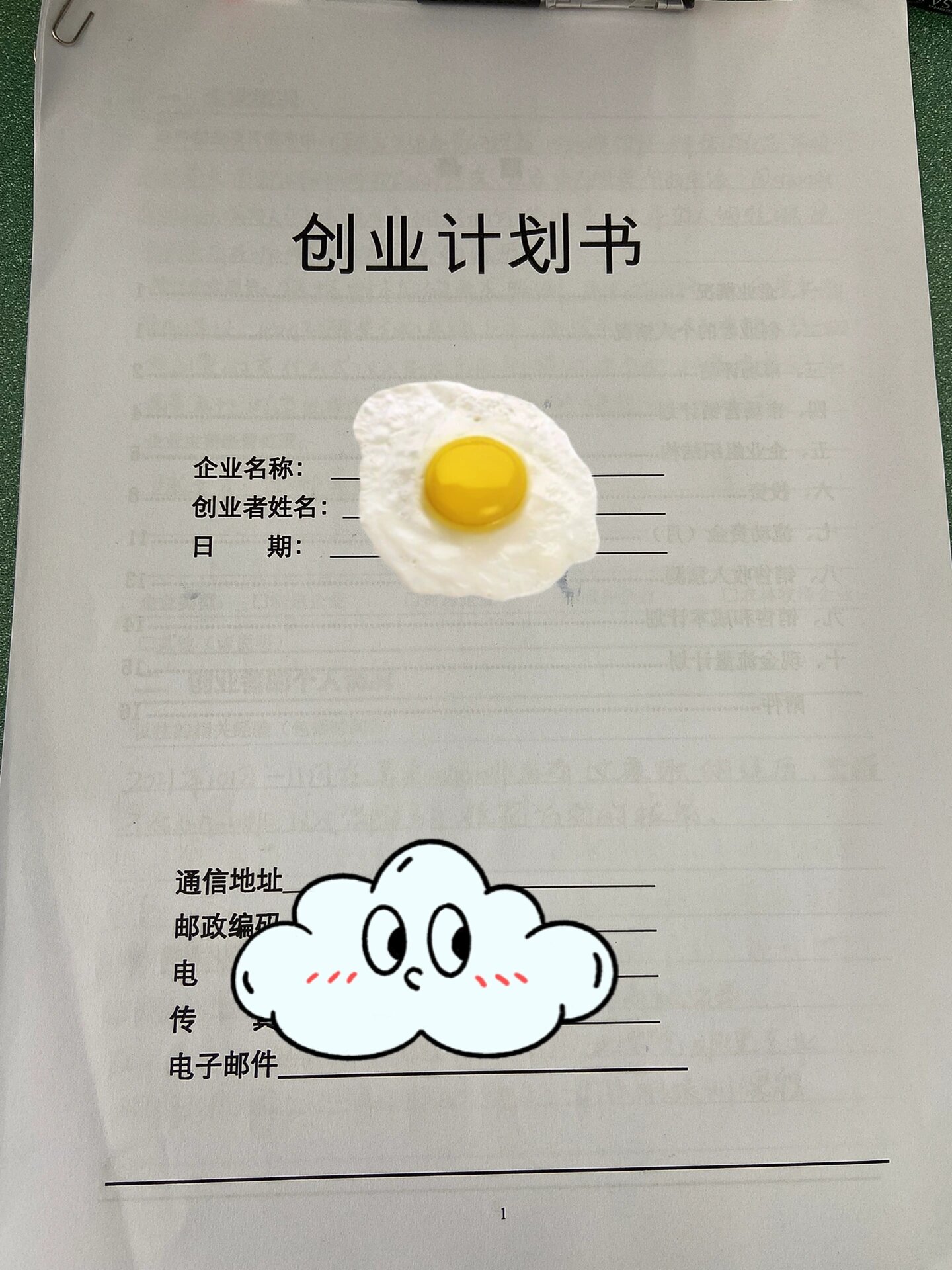创新创业计划书的字体大小(大学生创业计划书的字体要求)
